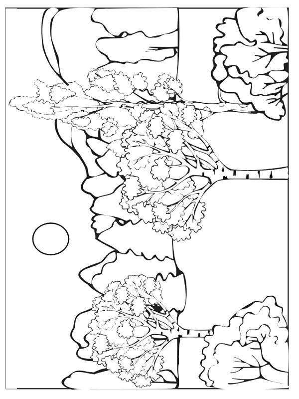Plansa de colorat cu Toamna 119 23